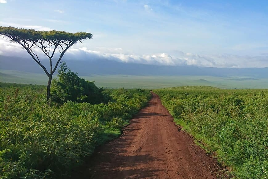 Park Narodowy Serengeti to jedna z lepszych propozycji jakie ma do zaoferowania Tanzania