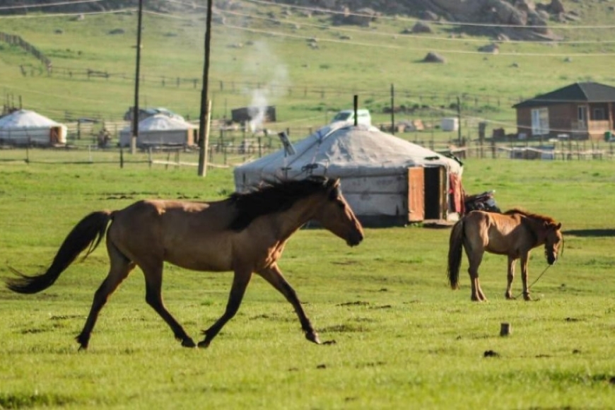 Mongolia