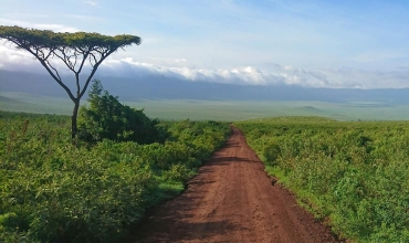 Park Narodowy Serengeti to jedna z lepszych propozycji jakie ma do zaoferowania Tanzania