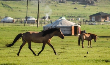 Mongolia