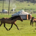 Mongolia zapomniana kraina