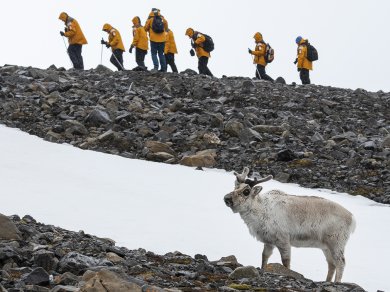 wyprawa na Spitsbergen