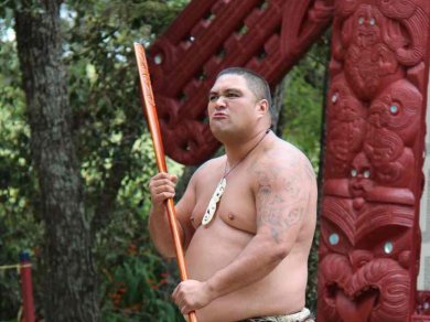 Maorysi