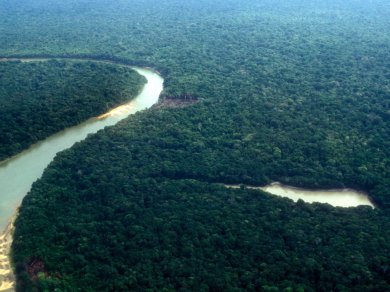 podróż w głąb Amazonii