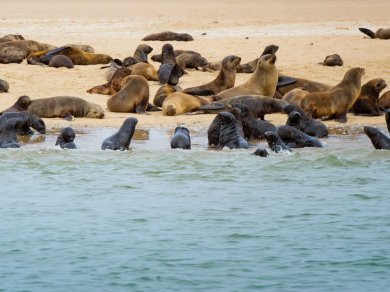 Swakopmund i Walvis Bay - Namibia wycieczka