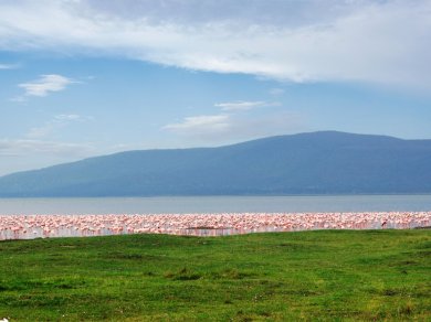 podróż nad jezioro Nakuru