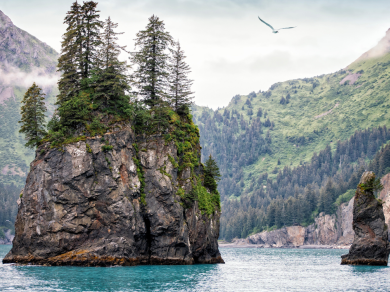 PARK NARODOWY KENAI FJORDS