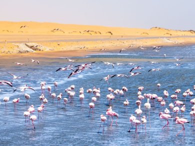 Swakopmund i Walvis Bay - Namibia wycieczka