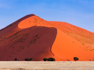 Sossusvlei - wycieczka do Namibii