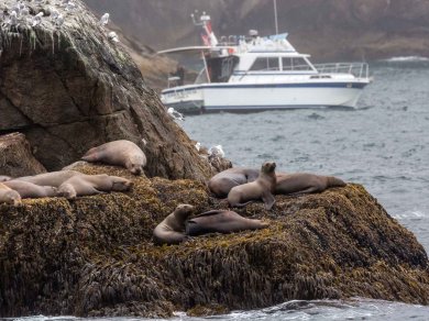 Alaska KENAI FJORDS zwiedzanie