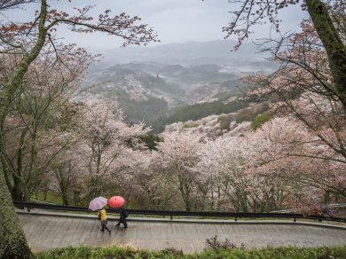 wycieczka do Japonii