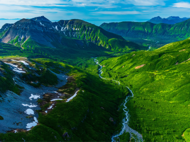 NIEDŹWIEDZIE NAD BROOK FALLS/LAKE CLARK