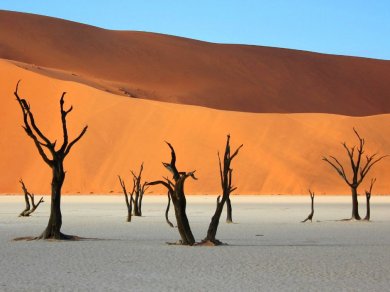 Deadvlei Namibia wycieczka