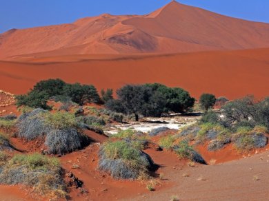 Sossusvlei - wycieczka do Namibii