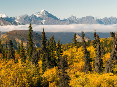 DOLINA MATANUSKA