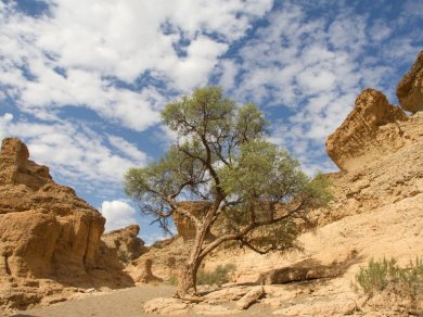 Sesriem - wycieczka Namibia