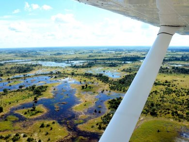 DELTA OKAVANGO - Botswana wycieczka