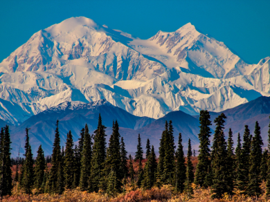 DENALI