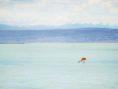 SALAR DE UYUNI