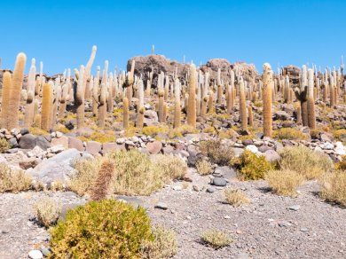 SALAR DE UYUNI